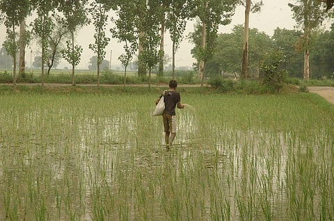 फाइल फोटो: विकास चौधरी