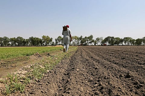 फोटो: विकास चौधरी