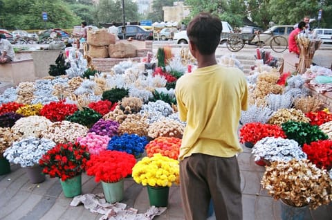 दलित बच्चों पर कहर बन रहा है फूलों की खेती का जहर : रिपोर्ट में खुलासा