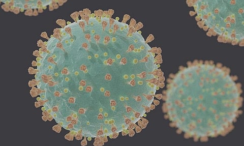 Photo: wikimedia commons