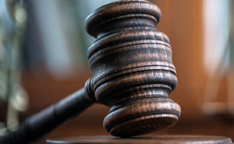 ओडिशा के जंगल में जहरीला खेल! एनजीटी पहुंचा फ्लाई ऐश विवाद, पड़ताल के लिए संयुक्त समिति गठित