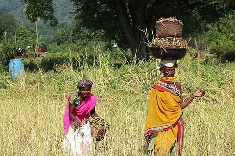 आंध्रप्रदेश के एक गांव के लोग प्राकृतिक खेती कर रहे हैं। फोटो: सीएसई