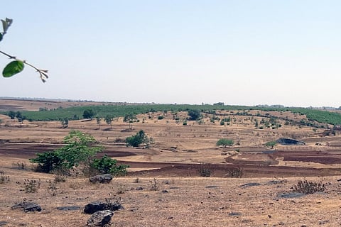 दुनिया की 5.6 करोड़ हेक्टेयर खाली पड़ी कृषि भूमि पर लगाए जा सकते हैं सोलर प्लांट