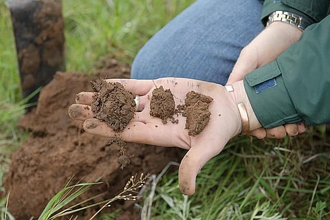 Photo : Wikimedia Commons, A soil scientist examines soil health
