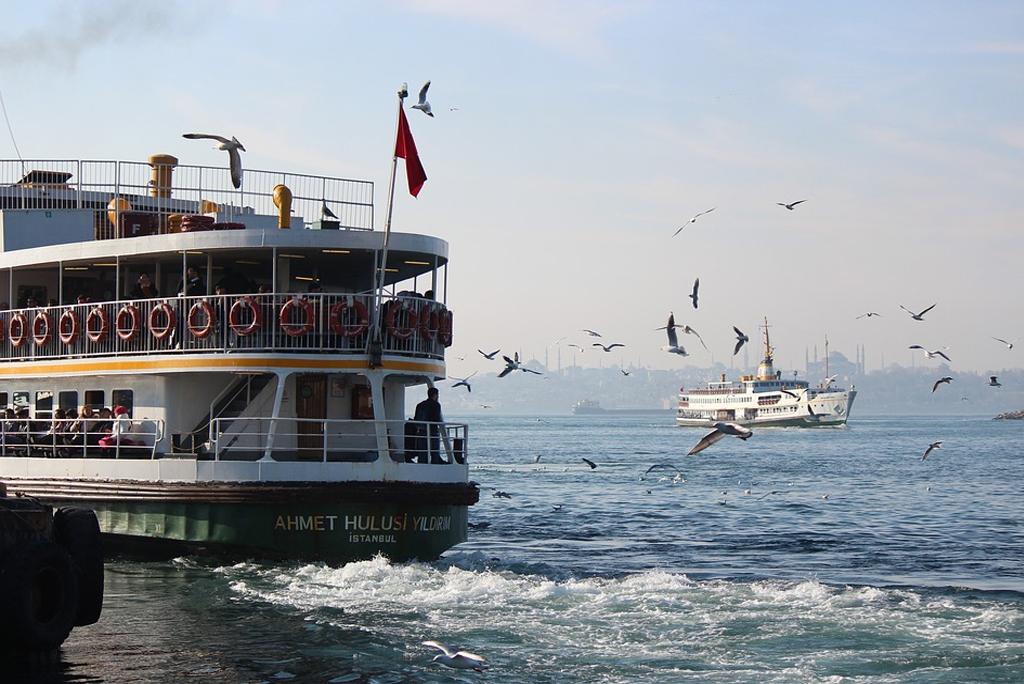 समुद्री जीवन को नुकसान पहुंचा रहा है इंसानी कोलाहल