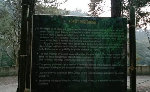 उत्तराखंड वन विभाग की रिसर्च विंग ने अल्मोड़ा के रानीखेत में करीब 13 एकड़ क्षेत्र में वन उपचार केंद्र शुरू किया। फोटो: वर्षा सिंह