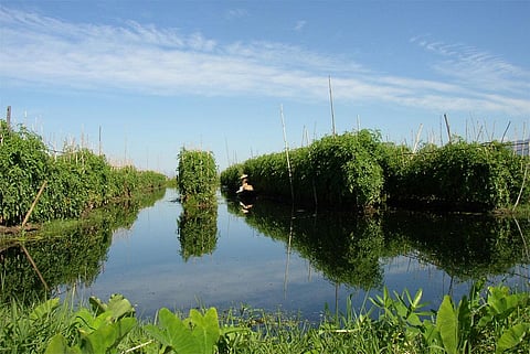 Photo : Wikimedia Commons, Floating garden