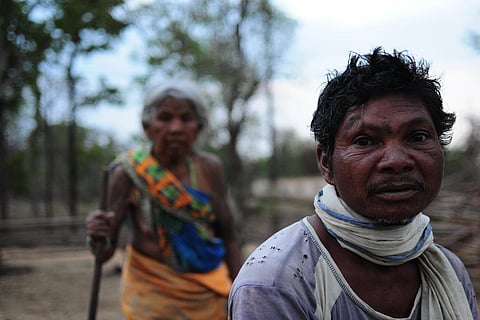 पेड़ों की अनदेखी कीमत: भारत में हर साल 235 लाख करोड़ की पारिस्थितिक सेवाएं प्रदान कर रहे हैं जंगल