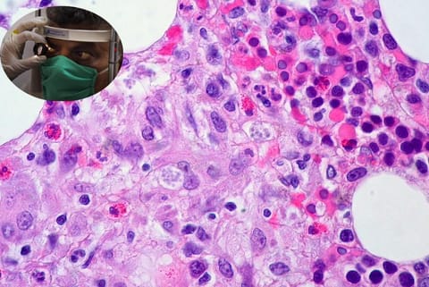 Photo : Wikimedia Commons