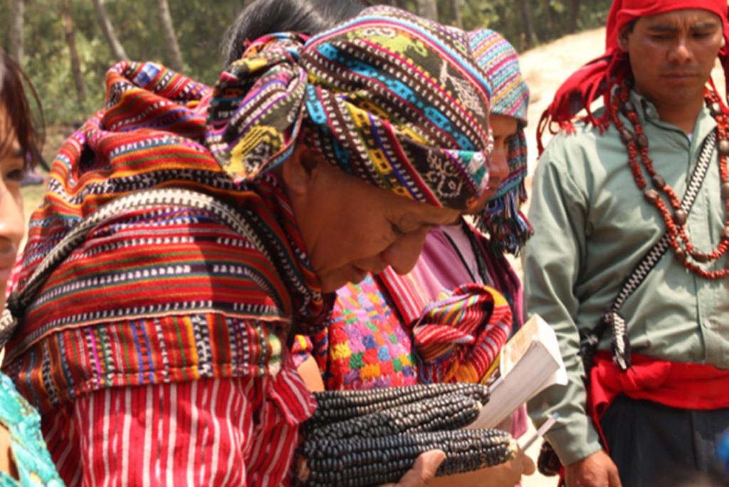 फोटो: आईआईपीएफसी के सौजन्य से