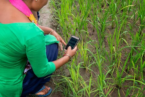 62 फीसदी पुरुषों की तुलना में दुनिया की केवल 57 फीसदी महिलाएं कर रही हैं इंटरनेट का इस्तेमाल