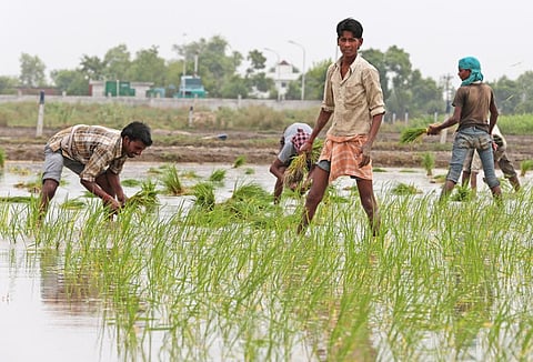 फोटो: विकास चौधरी