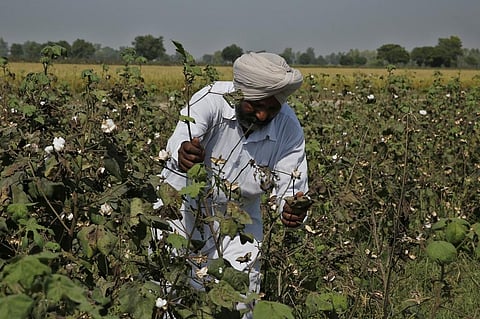 केंद्र सरकार कृषि शिक्षा एवं अनुसंधान के बजट में लगातार कमी कर रही है। फोटो: विकास चौधरी