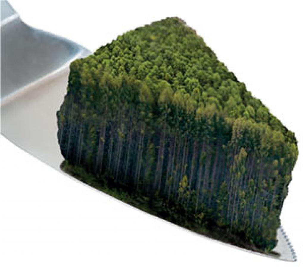 प्रतीकात्मक तस्वीर