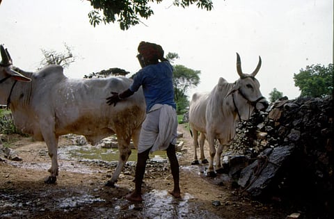 ग्रामीण इलाकों में जलवायु संकटों से उबरने में मदद कर सकते हैं बैंक व वित्तीय संस्थान