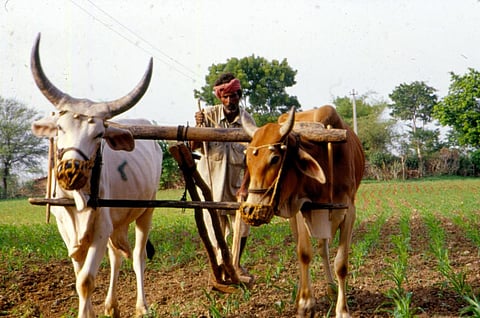 मॉनसून 2023: भारत में औसत से कम होगी बारिश, उत्तराखंड और मध्यप्रदेश होंगे सबसे ज्यादा प्रभावित