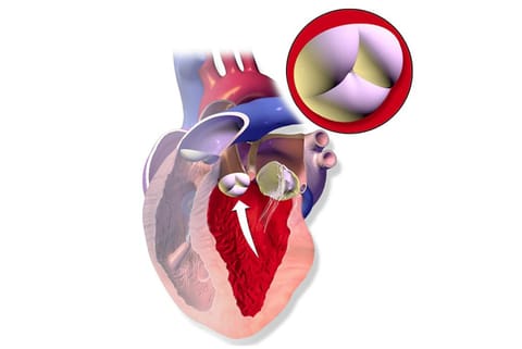 भारतीय वैज्ञानिकों ने विकसित की दिल की धड़कनों से बीमारी का पता लगाने की किफायती तकनीक