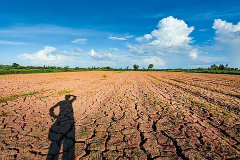 डाउन टू अर्थ विश्लेषण: मॉनसून ने किया पस्त, क्या बदलना होगा फसल चक्र?