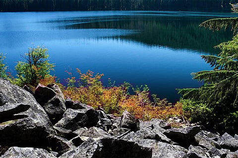 क्यों गायब हो रहा है झीलों का नीला रंग, वैज्ञानिकों ने खोजी वजह