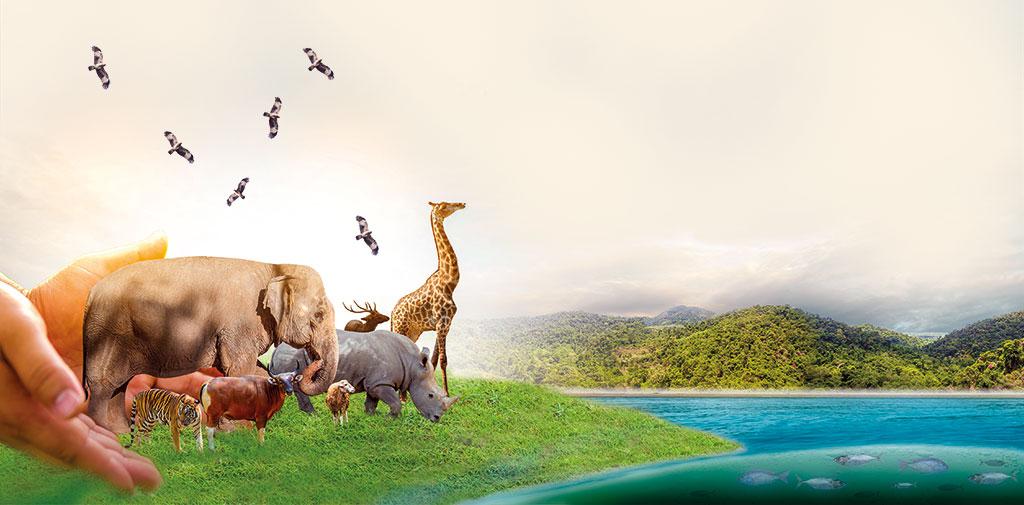 इलस्ट्रेशन: रितिका बोहरा / सीएसई