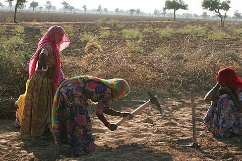 भीषण गर्मी में काम करने से भ्रूण पर पड़ता दबाव, बढ़ते तापमान से बिगड़ेंगे हालात