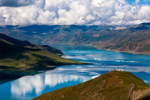 फोटो साभार : विकिमीडिया कॉमन्स, एस्तेर ली