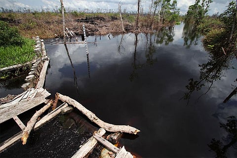 फोटो साभार: विकिमीडिया कॉमन्स, जोश एस्टे