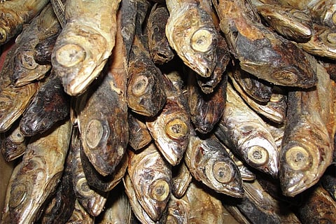 सूखी मछलियां, फोटो साभार: विकिमीडिया कॉमन्स, थमिझप्परिथी मारी