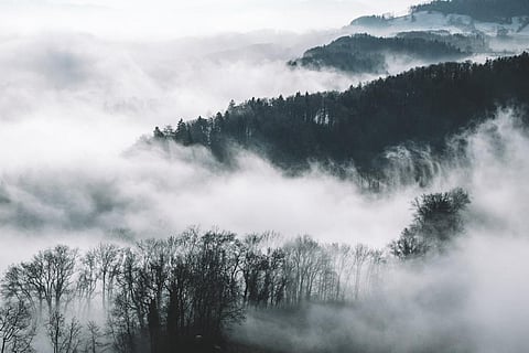 पूर्वोत्तर के इन हिस्सों में घना कोहरा, दक्षिण में भारी बारिश के आसार, जानें अन्य हिस्सों का हाल