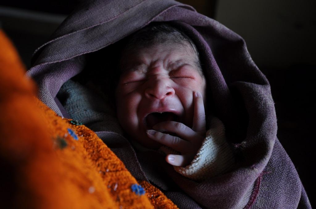 फोटो: सीएसई