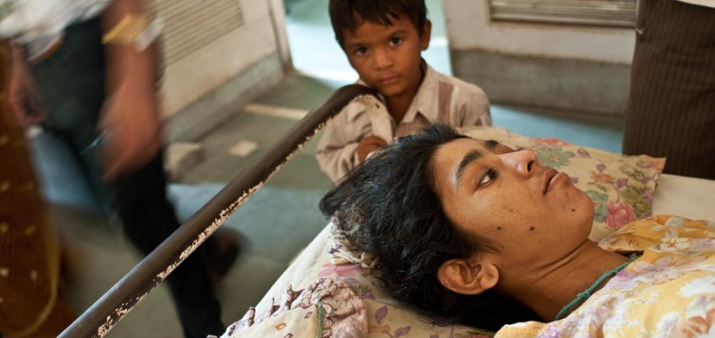 फोटो: सीएसई