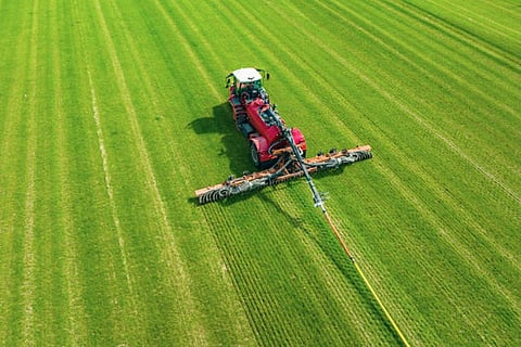 फोटो साभार : आईसटॉक