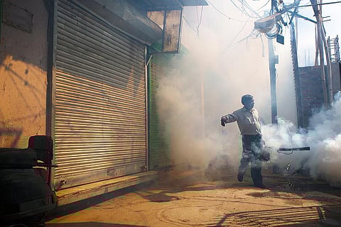 जलवायु में आते बदलावों के चलते डेंगू-चिकनगुनिया जैसी बीमारियों का खतरा बढ़ रहा है; फोटो: आईस्टॉक