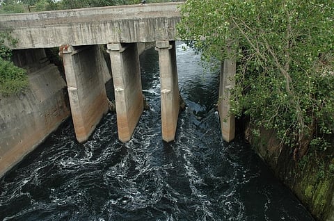 फाइल फोटो: सीएसई