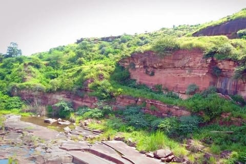 बंध बरेठा अभयारण्य; फोटो: बंध बरेठा वाइल्डलाइफ सैंक्चुअरी, फेसबुक