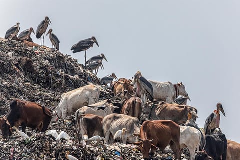 प्रतीकात्मक तस्वीर: आईस्टॉक