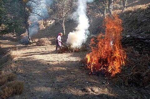 उत्तराखंड के अल्मोड़ा जिले में जंगलों की आग को कम करने के लिए मार्च में ही खेतों से निकलने वाली ओण को जला दिया जाता है। फोटो: त्रिलोचन भट्ट