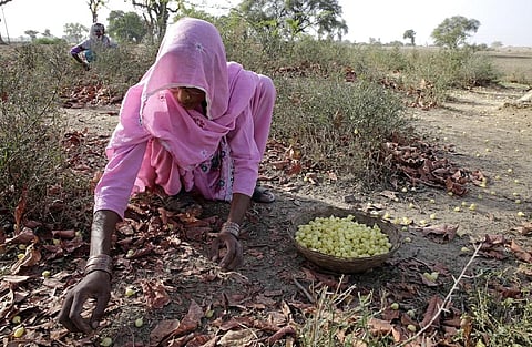फोटो का इस्तेमाल प्रतीकात्मक किया गया है। फोटो: विकास चौधरी