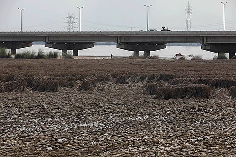 2025-ലെ വെള്ളപ്പൊക്കം പഞ്ചാബിന്റെ കാർഷിക മേഖലയുടെ 'അടിത്തറ'യെ മാറ്റിമറിച്ചു: മണ്ണിന്റെ ഘടന