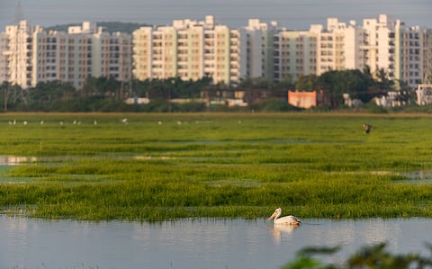 കാലാവസ്ഥാ വ്യതിയാനവുമായി പൊരുത്തപ്പെടുത്തുന്നതിനുള്ള നടപടികളെക്കുറിച്ചുള്ള പ്രത്യേക പരാമർശവും 2026 ബജറ്റ് പ്രസംഗത്തിൽ ഇല്ല