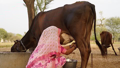 ഇന്ത്യക്ക് അനുകൂലം