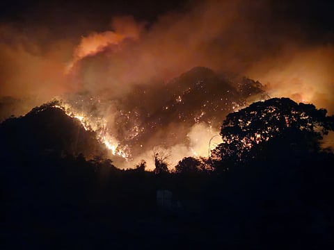 അരുണാചൽ പ്രദേശിലെ ലോഹിത് താഴ്വരയിൽ 9,500 അടിക്ക് മുകളിലാണ് അഗ്നിശമന ദൗത്യങ്ങൾ നടക്കുന്നത്.