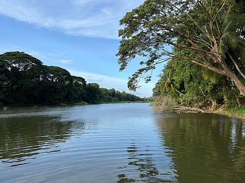 കേരളത്തിലെ പാലക്കാട് ജില്ലയിലെ ഒരു ചെറിയ പട്ടണം ചിറ്റൂർ-തത്തമംഗലം