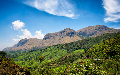 കാട് മുതൽ കടൽ വരെ: കേരളത്തിന്റെ പരിസ്ഥിതി ഭാവി മാറ്റിയെഴുതാൻ ഒരു ജനകീയ നയരേഖ