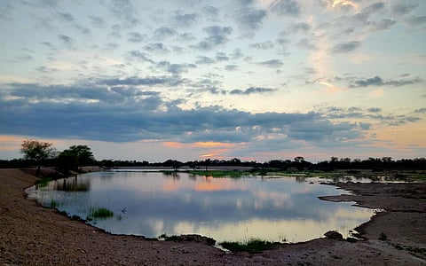 വികേന്ദ്രീകൃത ജലസംരക്ഷണ സംവിധാനങ്ങൾ ഇന്ത്യയ്ക്ക് അനിവാര്യമാണ്; വൻകിട ജലസേചന പദ്ധതികൾക്ക് പകരമായല്ല, മറിച്ച് അവയ്ക്ക് കരുത്തേകുന്ന പൂരകങ്ങളായി വേണം ഇവയെ കാണാൻ
