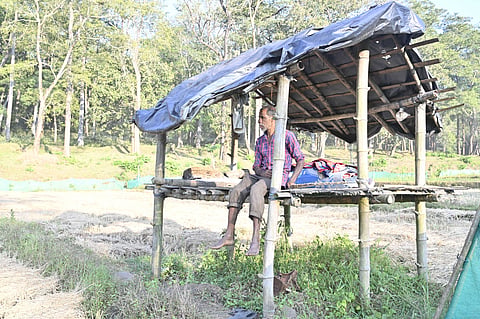 കേരളത്തിലെ മനുഷ്യ-വന്യജീവി സംഘർഷം: വനസംരക്ഷണ രീതികൾ പുനഃപരിശോധിക്കേണ്ട സമയമായോ?