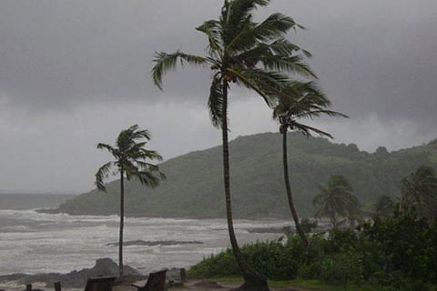 जून से अगस्त 2024 के दौरान तटस्थ स्थितियों या ला नीना के 50 फीसदी तक आसार जताए गए हैं। जुलाई से सितंबर के दौरान ला नीना की स्थिति का अनुमान 60 फीसदी और अगस्त-नवंबर के दौरान 70 फीसदी तक बढ़ जाती है।