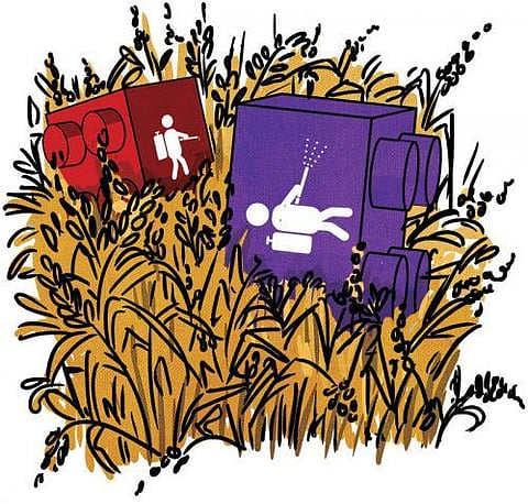 नई सरकार, नई उम्मीदें: खाने-पीने की चीजों में रसायनों और कीटनाशकों के इस्तेमाल पर लगे रोक