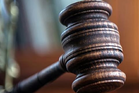 कचरे के नीचे दब गया दिल्ली का वजीराबाद वेटलैंड, एनजीटी ने सरकार से मांगा जवाब