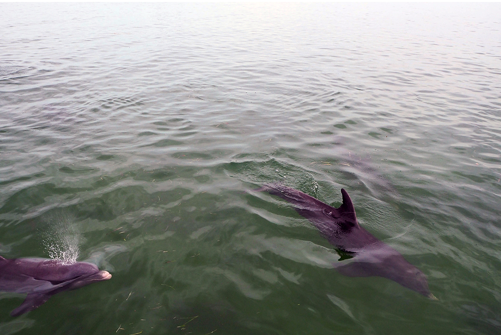 प्रतीकात्मक तस्वीर: आईस्टॉक